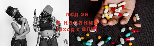 крисы Бугульма