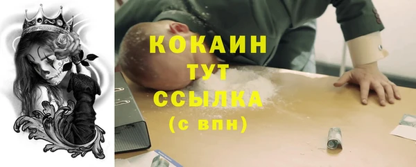 крисы Бугульма