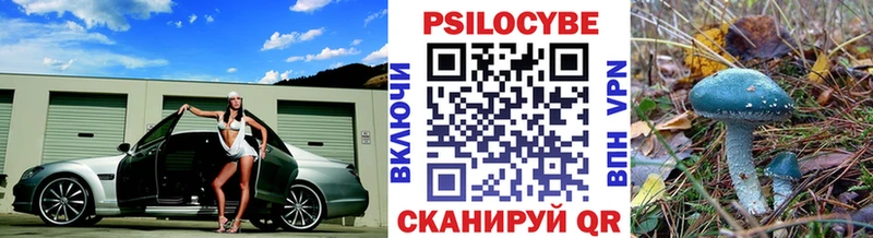 Купить где Гремячинск Псилоцибиновые грибы мухоморы